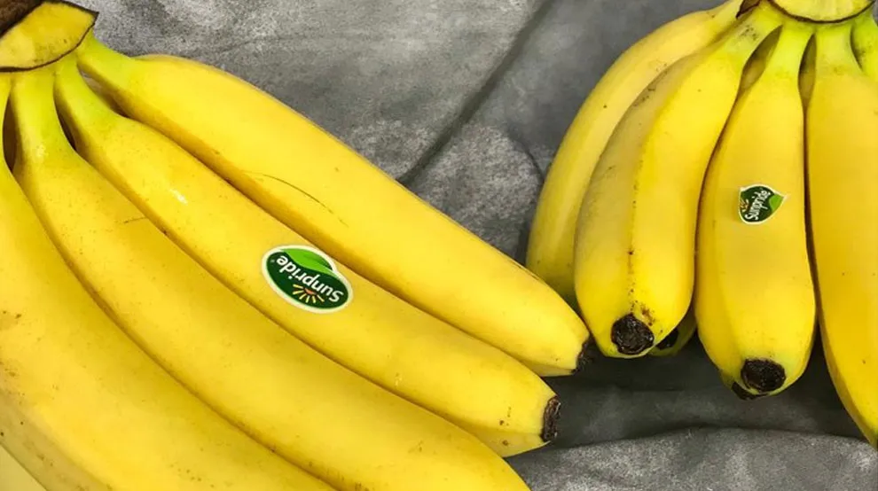 Jarang Diketahui Ini Perbedaan Pisang Sunpride Dengan Pisang Cavendish