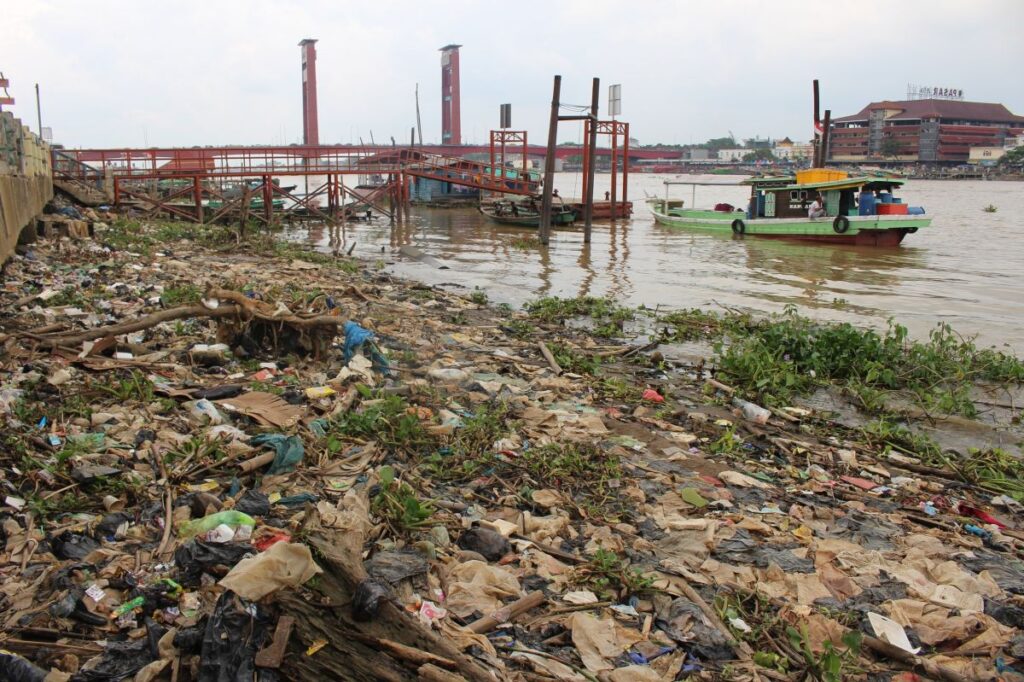 Sungai Musi Tercemar, Ikan-Ikan Terancam Limbah Dan Mikroplastik ...