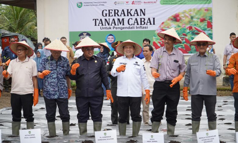 Kendalikan Inflasi Jelang Puasa Pemprov Sumsel Lounching Gerakan Tanam Cabai